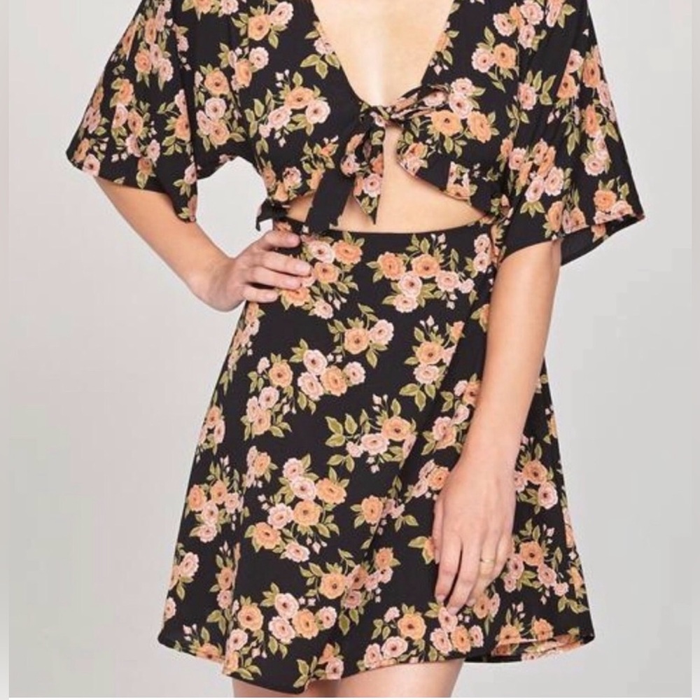 Amuse Society dress